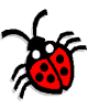 Counting games - Ladybird Counting