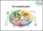 Balanced Diet - The Eatwell Plate